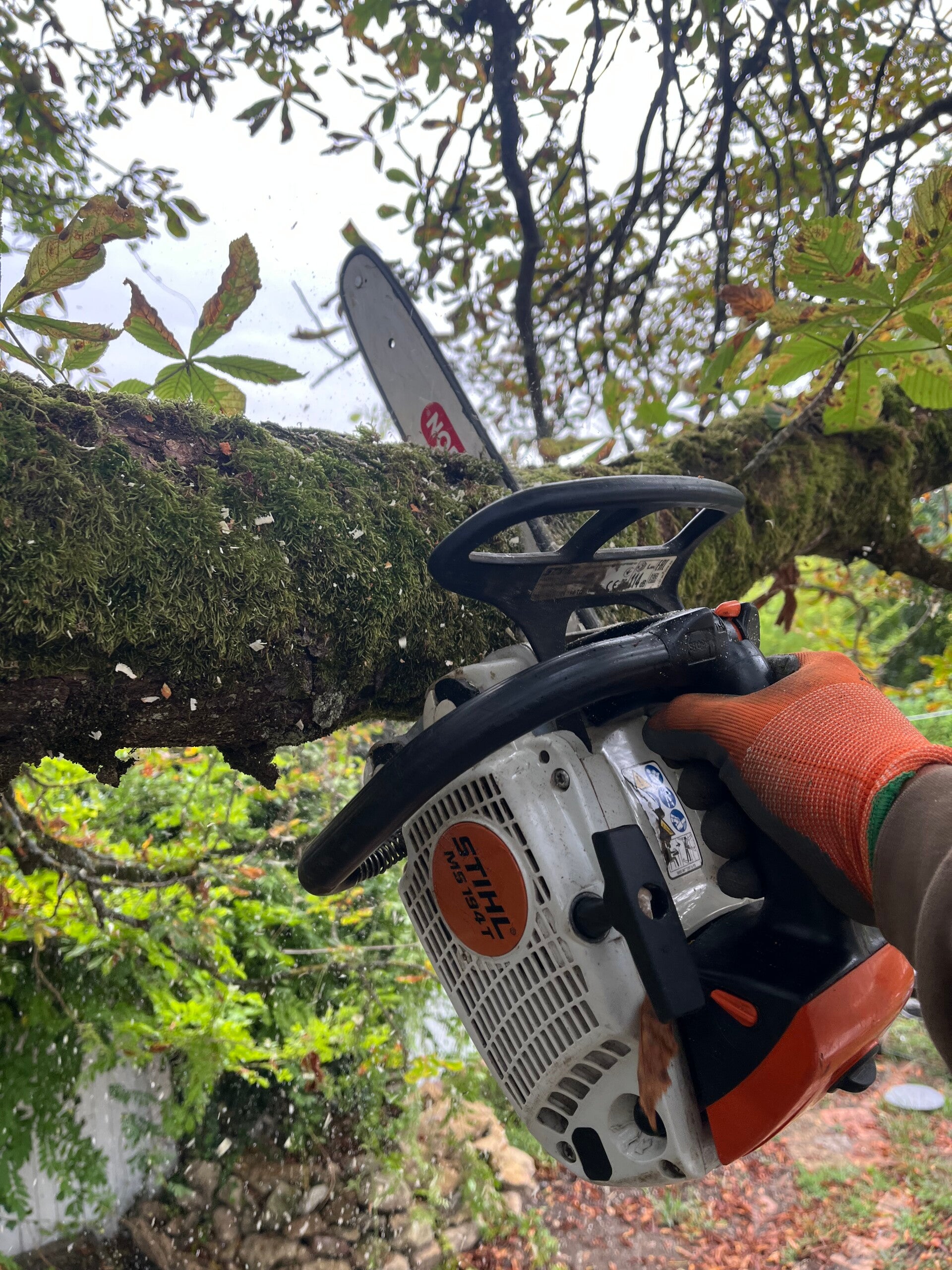 coupe-branche-dangereuse