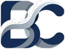 BLUECREST IT SOLUTIONS LIMITED