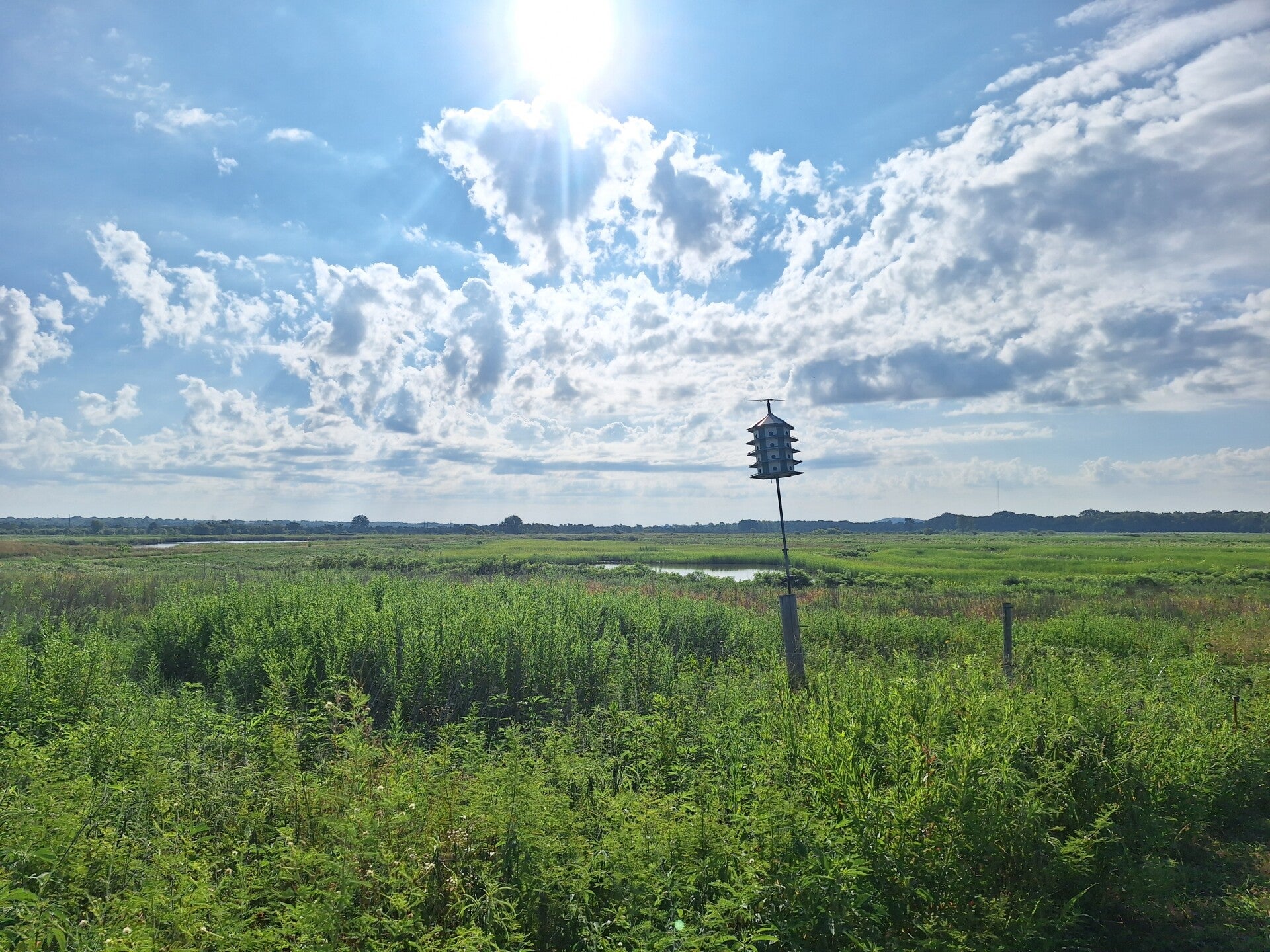 Pony Express Lake Conservation Area in St. Joseph. Photo by Lisa D. Smith