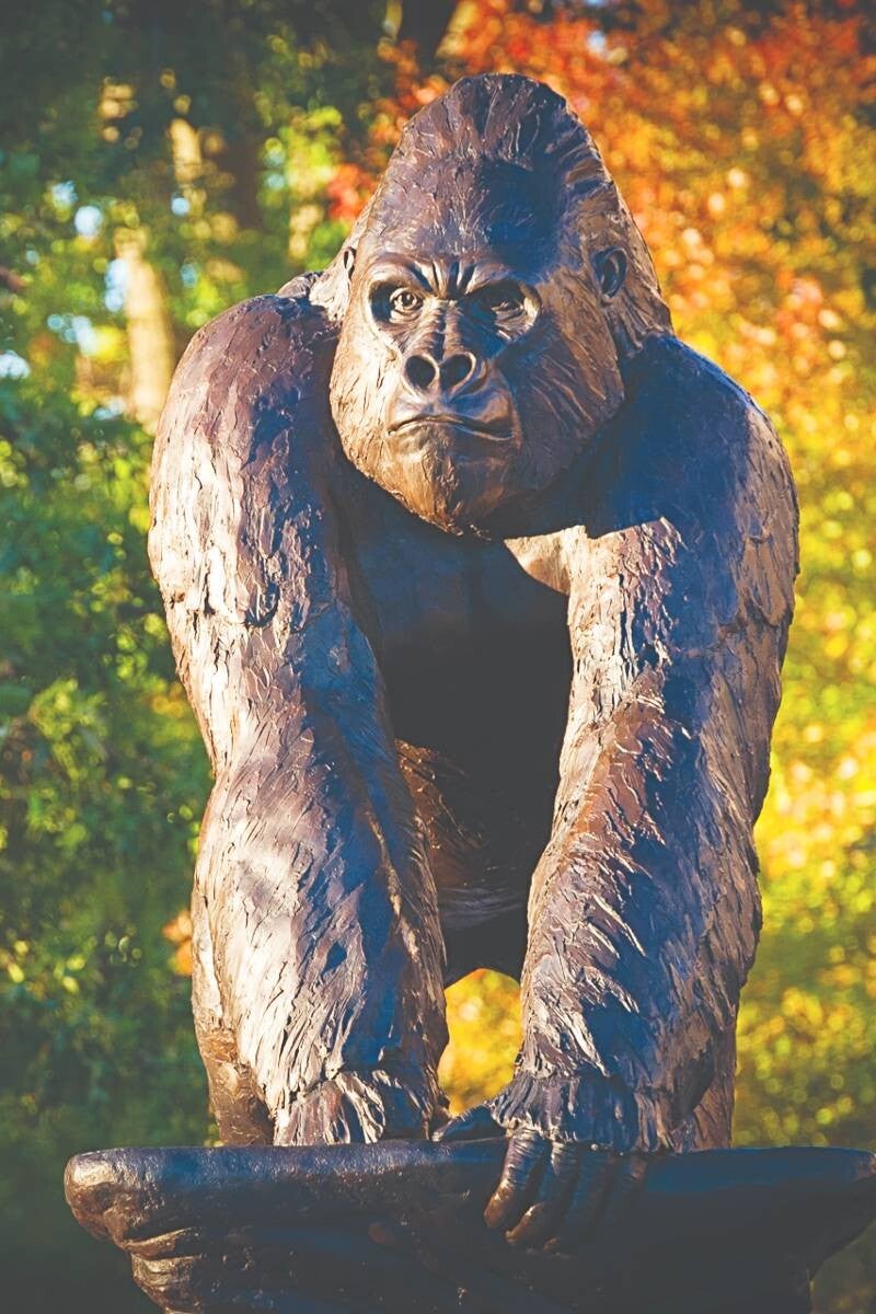 Front view of the bronze gorilla at Champions Plaza, Pittsburg State University