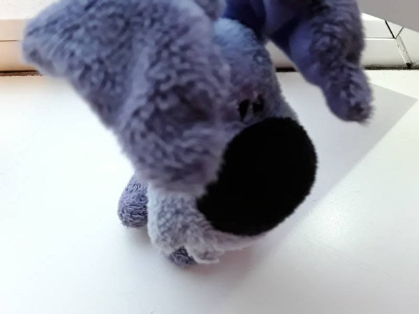 Hondje