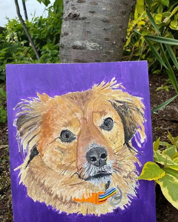 Pet Portraits