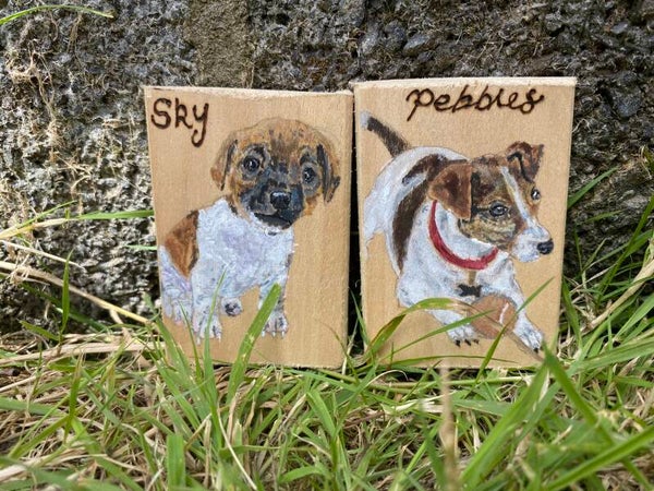 Pet and Animal Portrait - Magnets