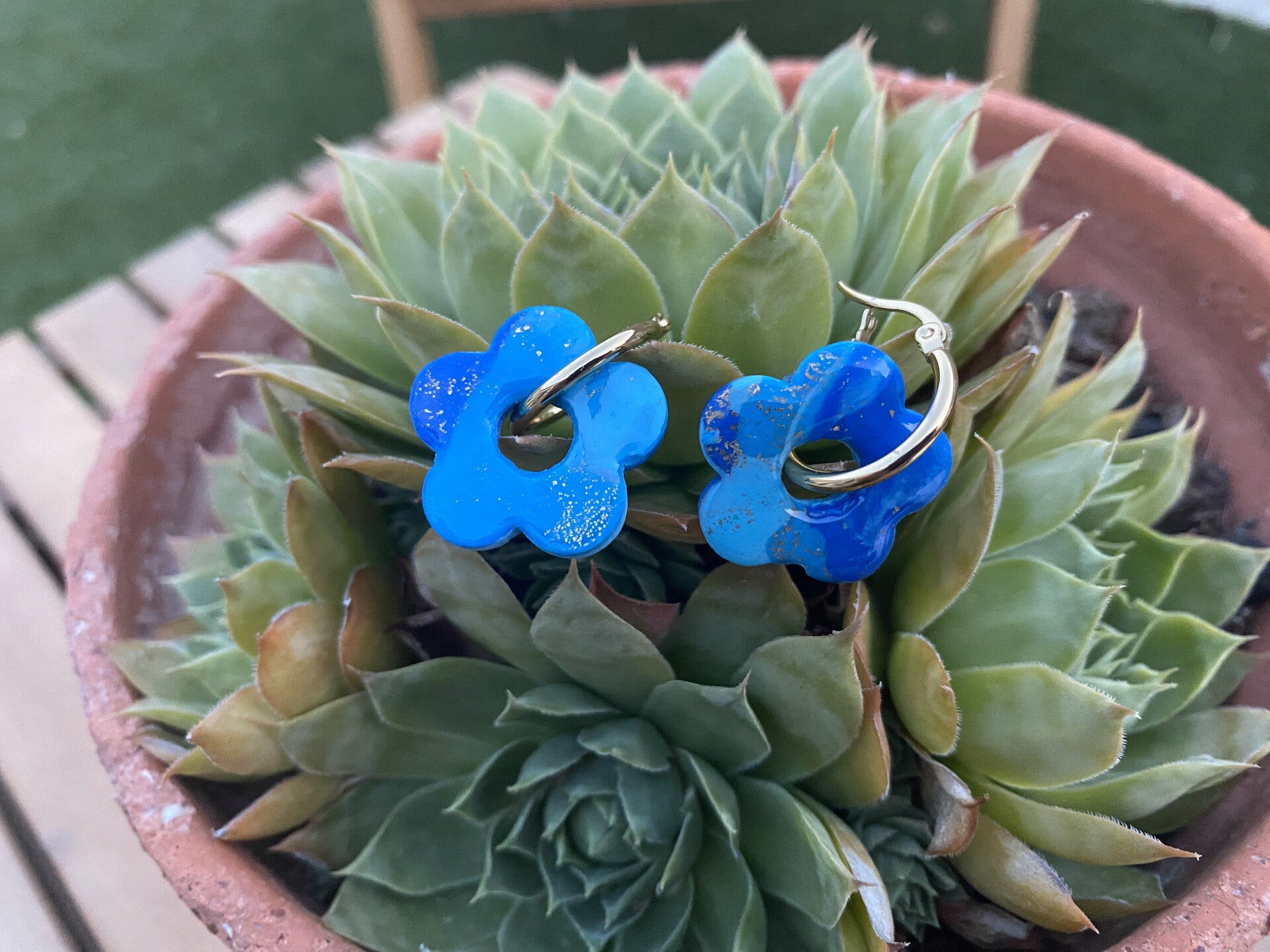 Papilles fleurs bleus étoilés