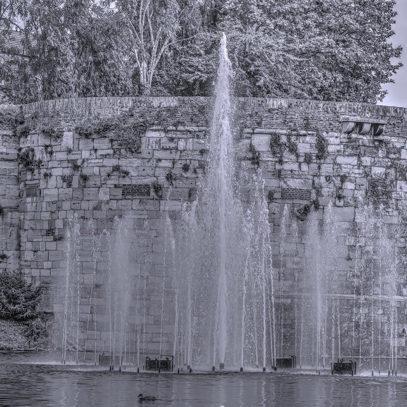 stadspark-1.jpg