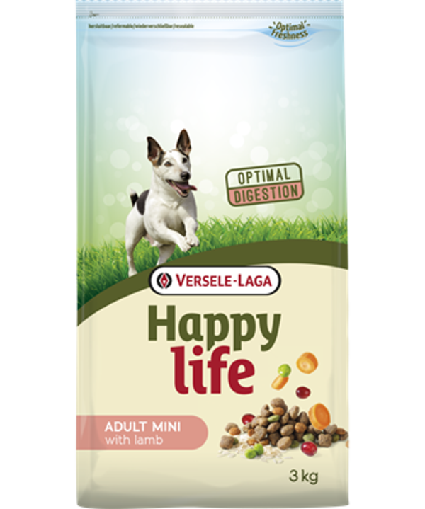 Adult - Happy life Mini Lamb