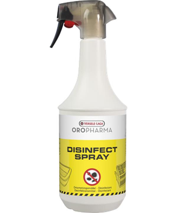 Disinfect spray