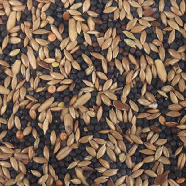 Zaadmengeling kanaries extra 1kg