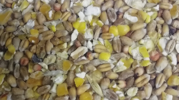 Mengeling met gebroken maïs