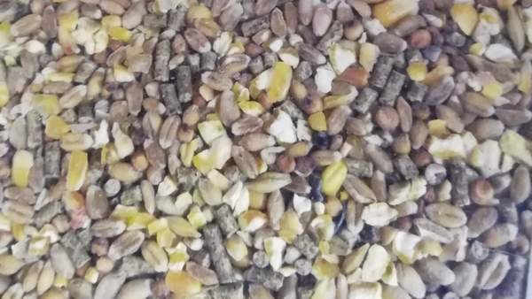 Mengeling met gebroken maïs + legkorrel