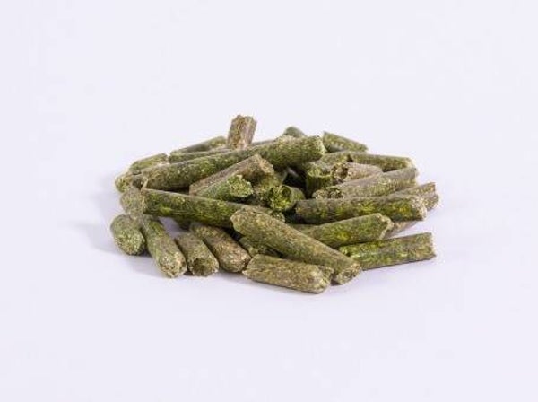 Luzernepellets
