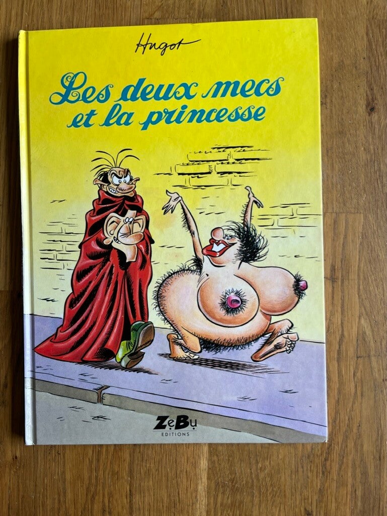 deux mecs et la princesse, les (HC deel 01) - les deux mecs et la princesse (Frans)