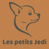 chihuahuas des petits Jedi