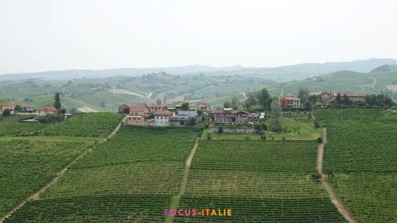 Vignobles à partir de la tour de Barbaresco, Langhe, Piémont