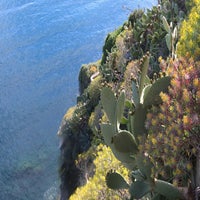 c-te-plantes-standard.jpg