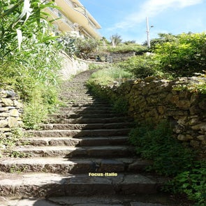 chemin-d-part-rando-standard.jpg