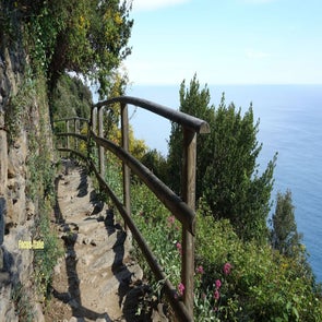 chemin-vernazza-standard.jpg