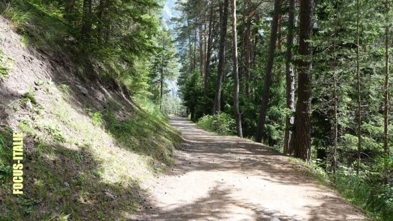 Chemin qui mène à la passerelle panoramique, vallée d'aoste