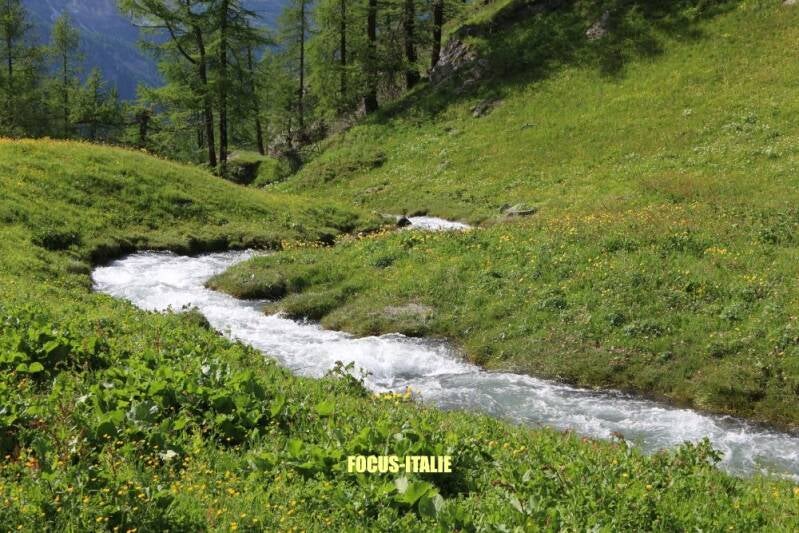 Rivière Doire de Valtourneneche, cheneil, vallée d'aoste
