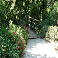 jardin-pont-standard.jpg