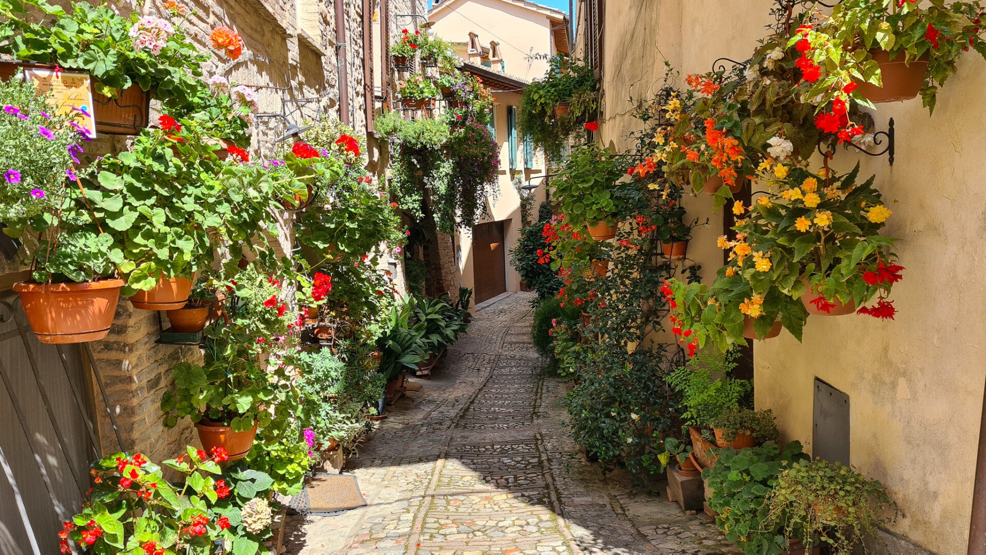 Ruelle fleurie dans le village de Spello en Ombrie
