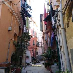 ruelle-standard-oq0567.jpg