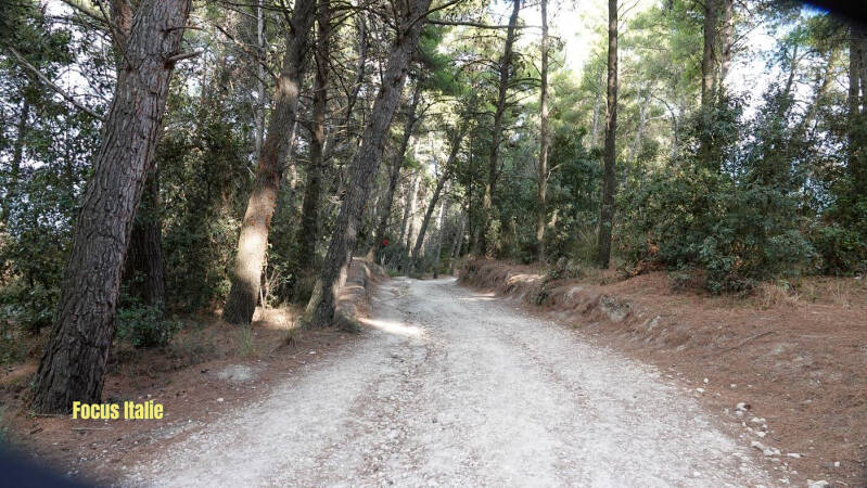 Chemin forestier qui descend à la plage de sassi Neri, Sirolo