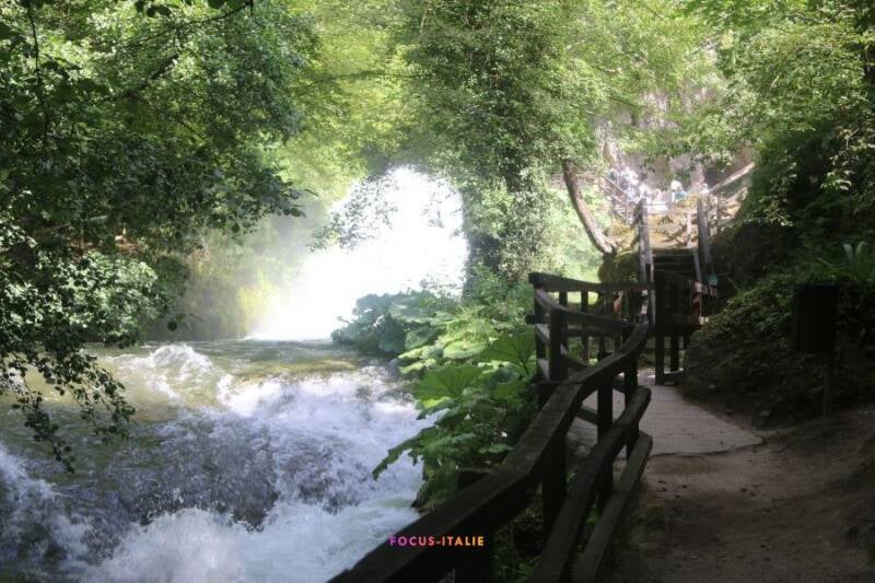Sentier forestier le long de la rivière