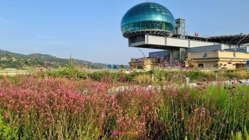 Végétation sur le toit du Lingotto, Turin