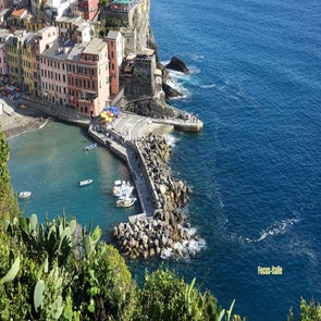 vernazza-port-standard.jpg