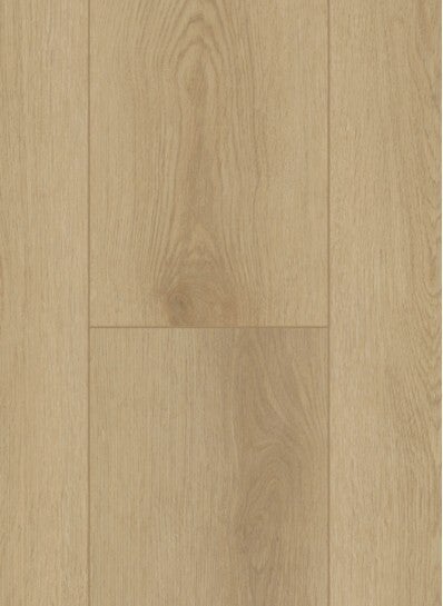 Firmfit 6500 (Dryback) Sierra light / Prijs per m²