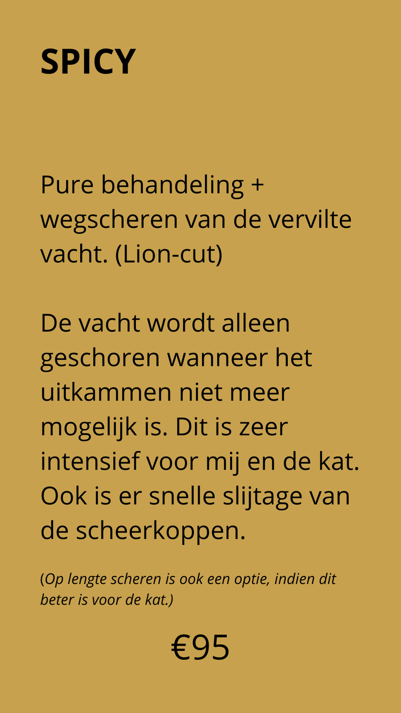 prijs spicy behandeling