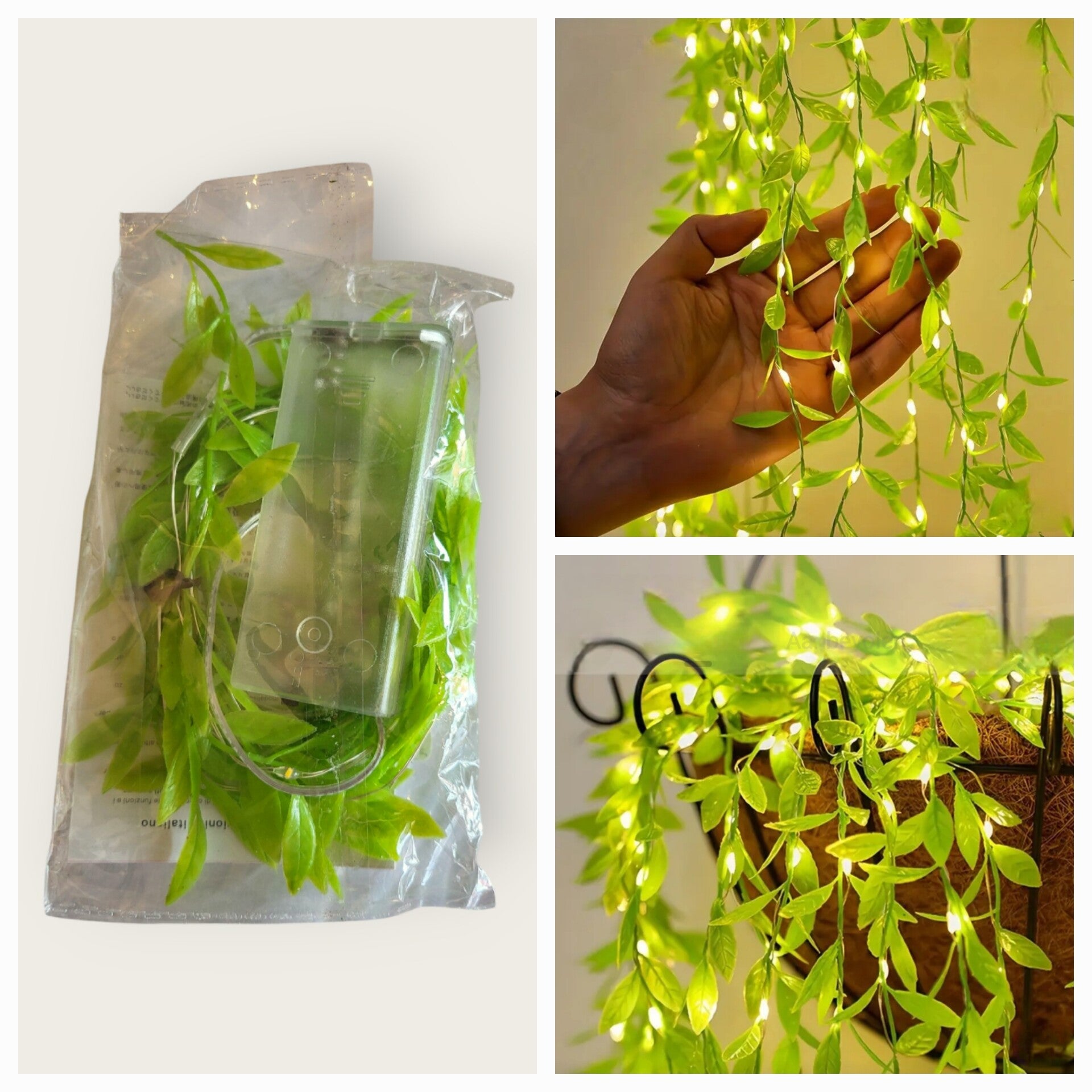 Groene Wilg Bladeren