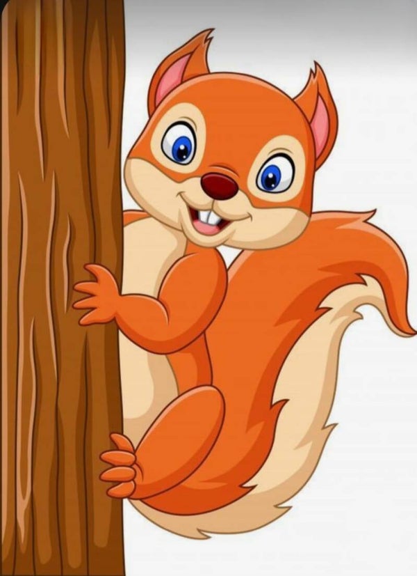 Eekhoorn 2