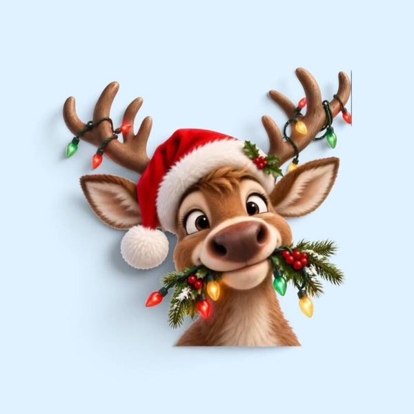 Kerst 7