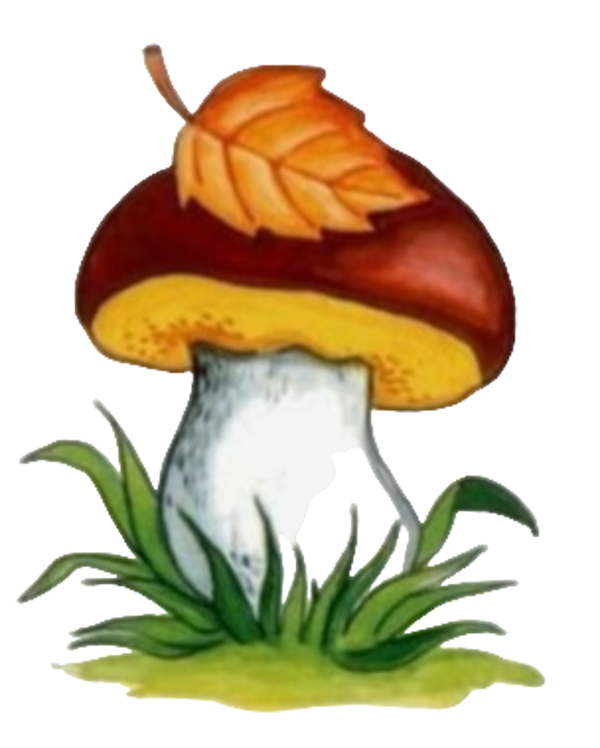 Paddestoel 2