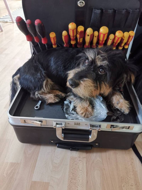 Werkzeugkoffer ohne Hund :-)