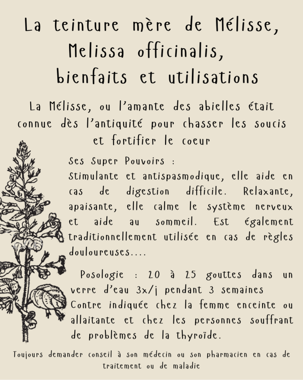 Teinture mère de mélisse (Melissa officinalis)