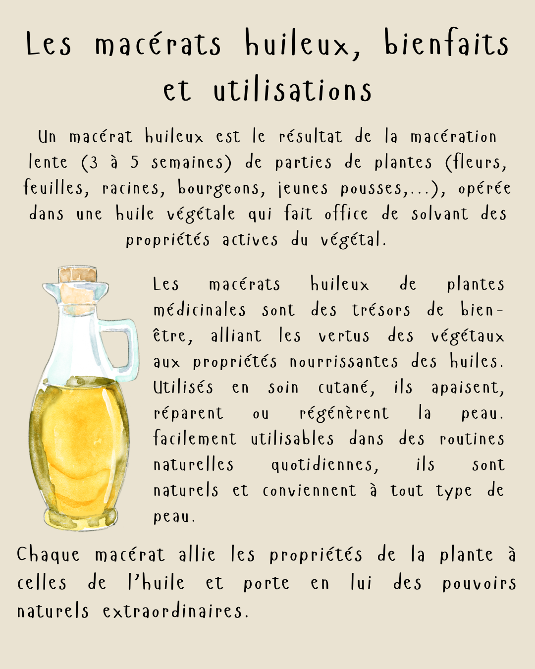 Nos macérats huileux et huiles de massage