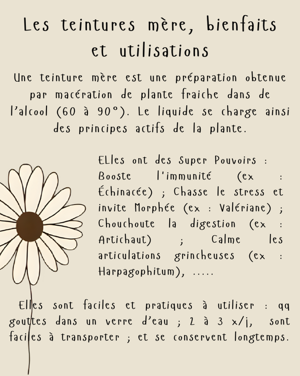 Nos teintures mère