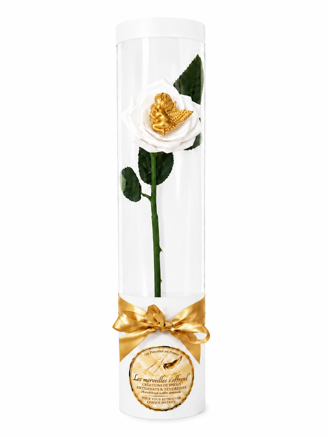 ✨ La rose D'Angel – un symbole immortelle d’amour et de sérénité