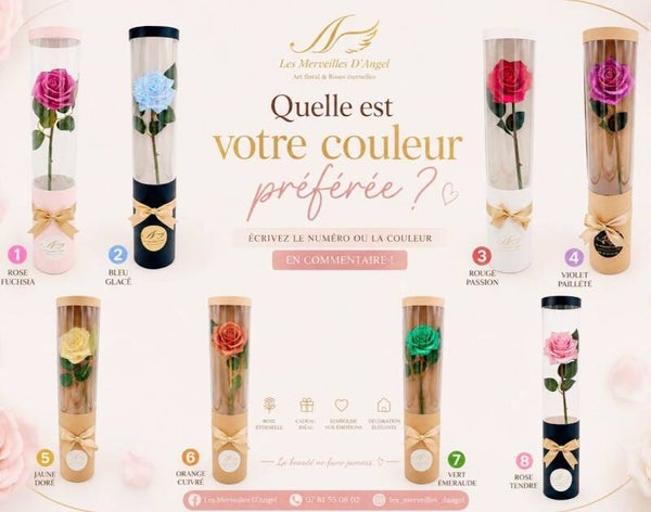 🌸 GRANDE ROSE ETERNELLE  EN RÉSINE🌸