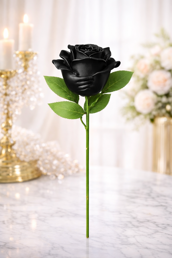 🌹 Rose « noir Gardienne »