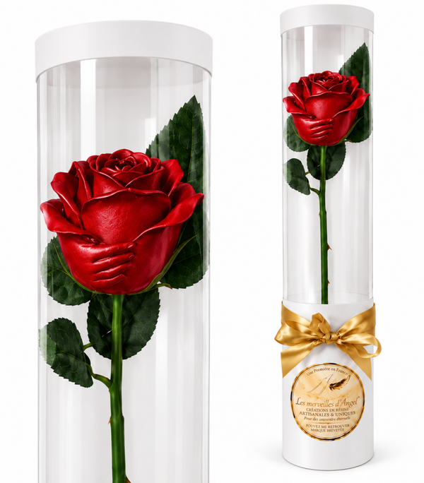 🌹 Rose " LA MAIN DU COEUR"