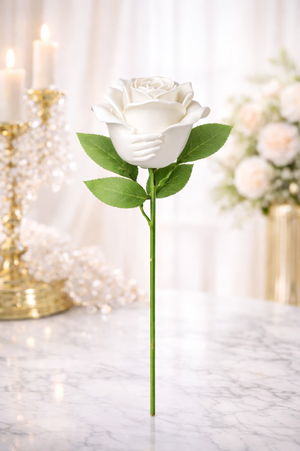 🌹 Rose « Neige  Gardienne »