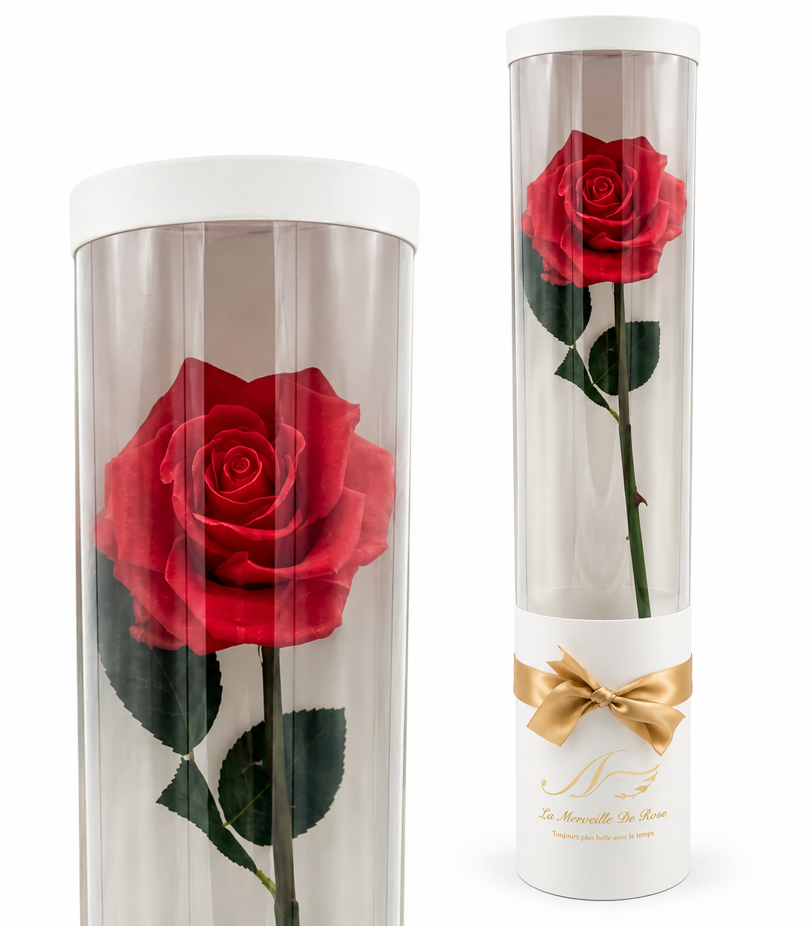 🌹 Grande Rose  "IMMORTELLE" en Résine – Élégance Éternelle