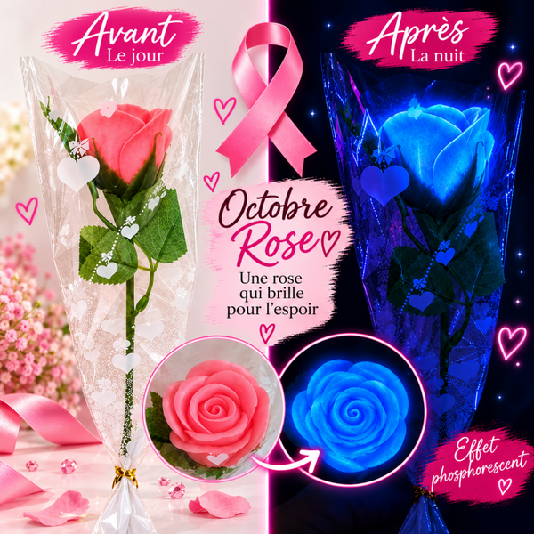 🌸 ROSE PHOSPHORESCENTE – COLLECTION OCTOBRE ROSE 💗💙