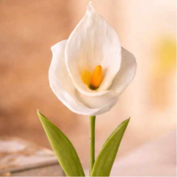 Arum blanc en résine – Fleur décorative élégante intemporelle