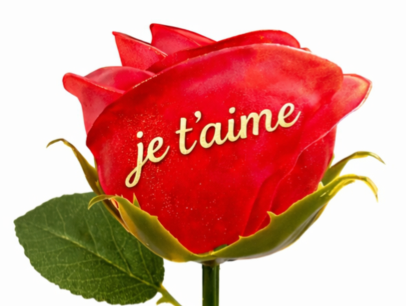 🌹 Rose éternelle « Je t’aime » en résine – décoration romantique