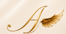 Les merveilles d'Angel